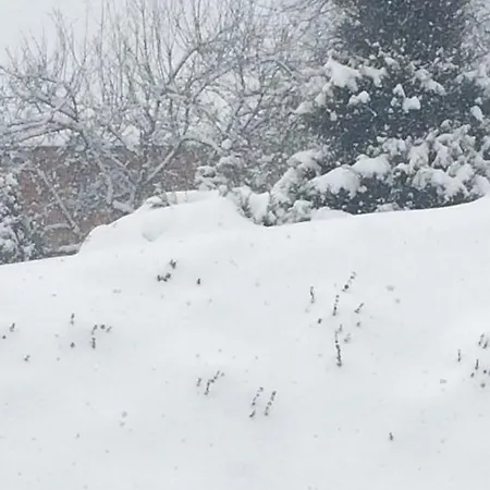 Blagodat Ξενοδοχείο Shaian