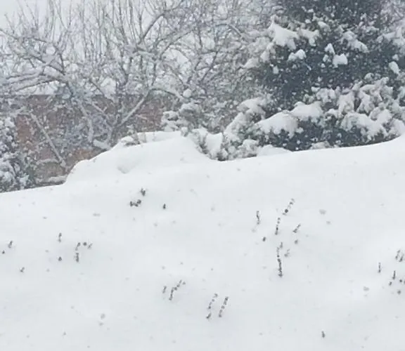 Blagodat Hotel Shaian